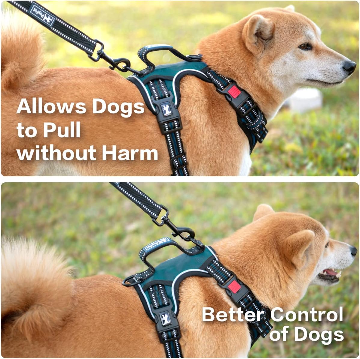 PoyPet No Pull Dog Harness, No Choke Front Clip Reflective Dog Vest with Soft Padded Vertical Handle, 3 Leash Attachments for Small Medium Large Dogs (Tumalo Teal,M)