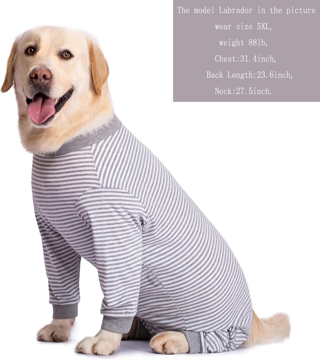 Yeapeeto Dog Onesie Surgery Recovery Suit for Large Medium Bodysuit Dogs Pajamas PJS Full Body for Shedding, Prevent Licking, Wound Protection, Cone Alternative (4X-Large (Pack of 1), Grey)