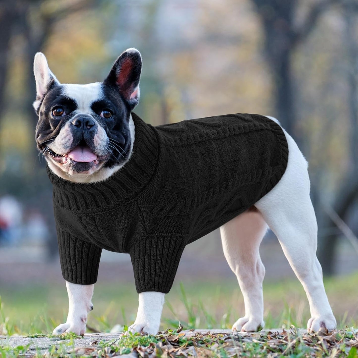 Queenmore Small Dog Pullover Sweater, Cold Weather Cable Knitwear, Classic Turtleneck Thick Warm Clothes for Chihuahua, Bulldog, Dachshund, Pug (Black, Medium)