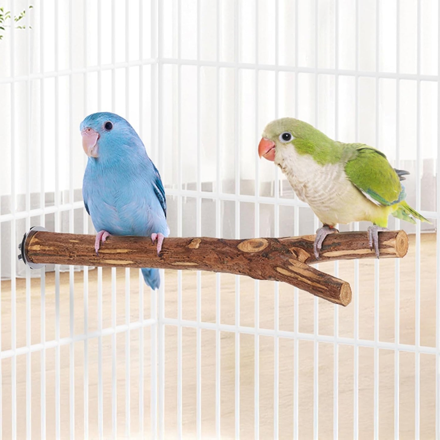 Niteangel Natural Wooden Perches for Bird Cages - Ideal for Cockatiels, Parakeets, Finches & Other Caged Birds (No-Bark, 2 Pack)