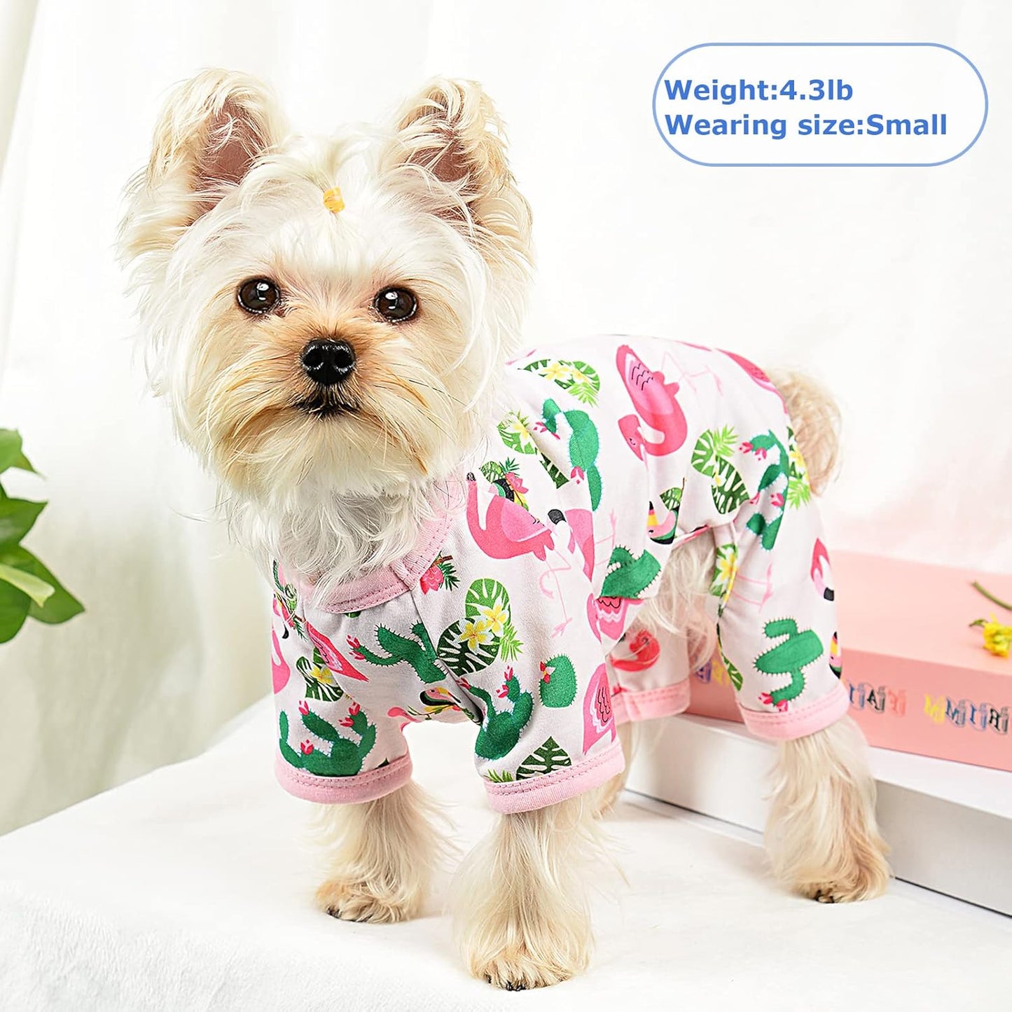 Dog Pajamas Pjs Spring Summer Dog Clothes for Small Dogs Girl - Small - Medium Size Dogs, Soft Stretchy Puppy Clothes Doggie Onesies Cat Pet Jammies Outfit for Chihuahua Yorkie(Pink, Medium)