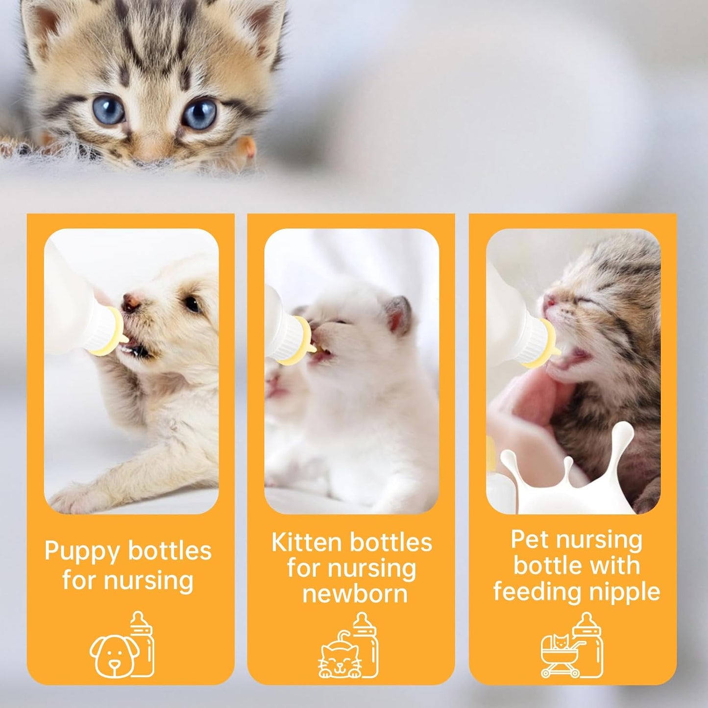 5Pack Kitten Bottle for Nursing Puppy Milk Kitten Bottles Feeding Kit Silicone Nipple for Newborn Pets Kittens, Puppy,Squirrel (Yellow)