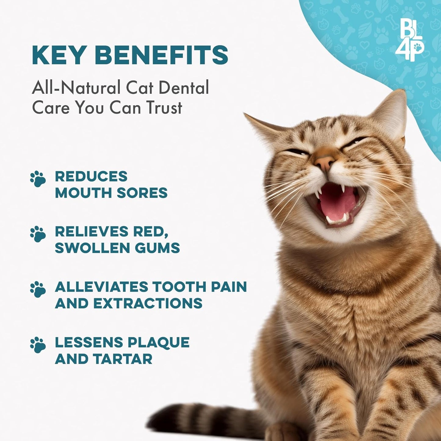 Cat Dental Supplement for Bad Breath, Tartar & Gum Support – Natural Oral Tablets for Fresh Breath, Teeth & Gum Wellness and Plaque Control – Odorless & Tasteless – 400 Easy-to-Give Pills