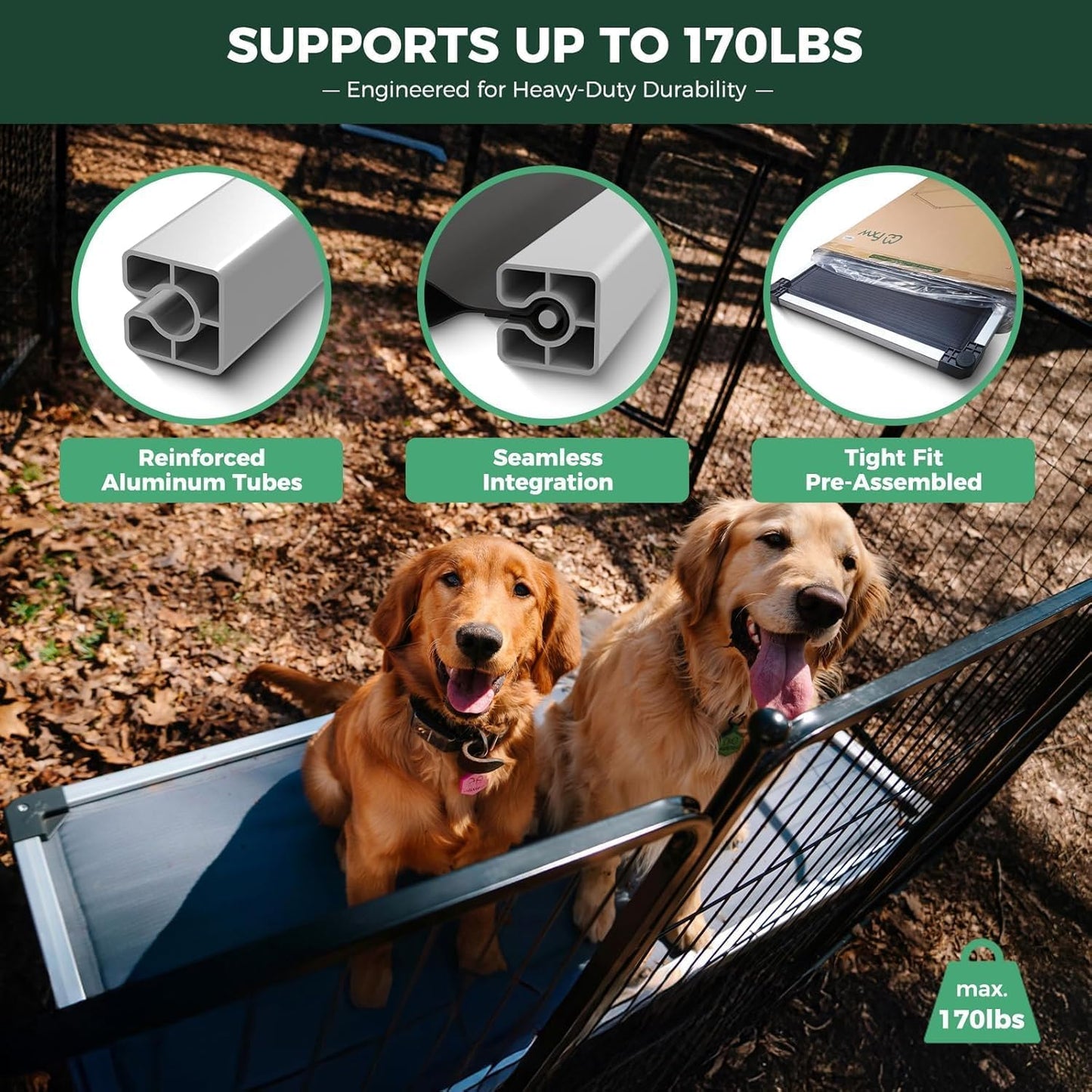 FXW TitanNest Chew-Proof Elevated Dog Bed, Raised Cot for Indoor/Outdoor/Camping Use, Durable & Washable Padded Pet Bed for Small Dogs, 35.0" L x 22.0" W x 4.5" H, Black