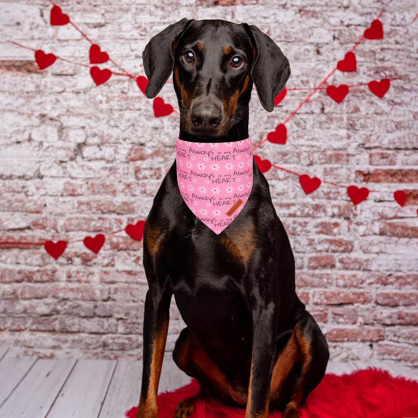 ADOGGYGO Valentine Dog Bandanas, Heart Love Floral Pet Scarf, Multi Size Offered, Pink Blue Pet Valentine Bandana for Large and Extra Large Dogs (X-Large)