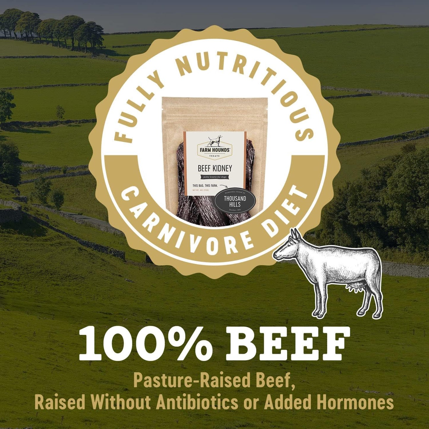 Farm Hounds - Beef Kidney - Premium Natural Beef Kidney Jerky For Dogs - Made From 100% Humanely Raised Cattle - Organ Treat - Great For Training & Treats - No Added Fillers - Made in USA -4oz -2 Pack