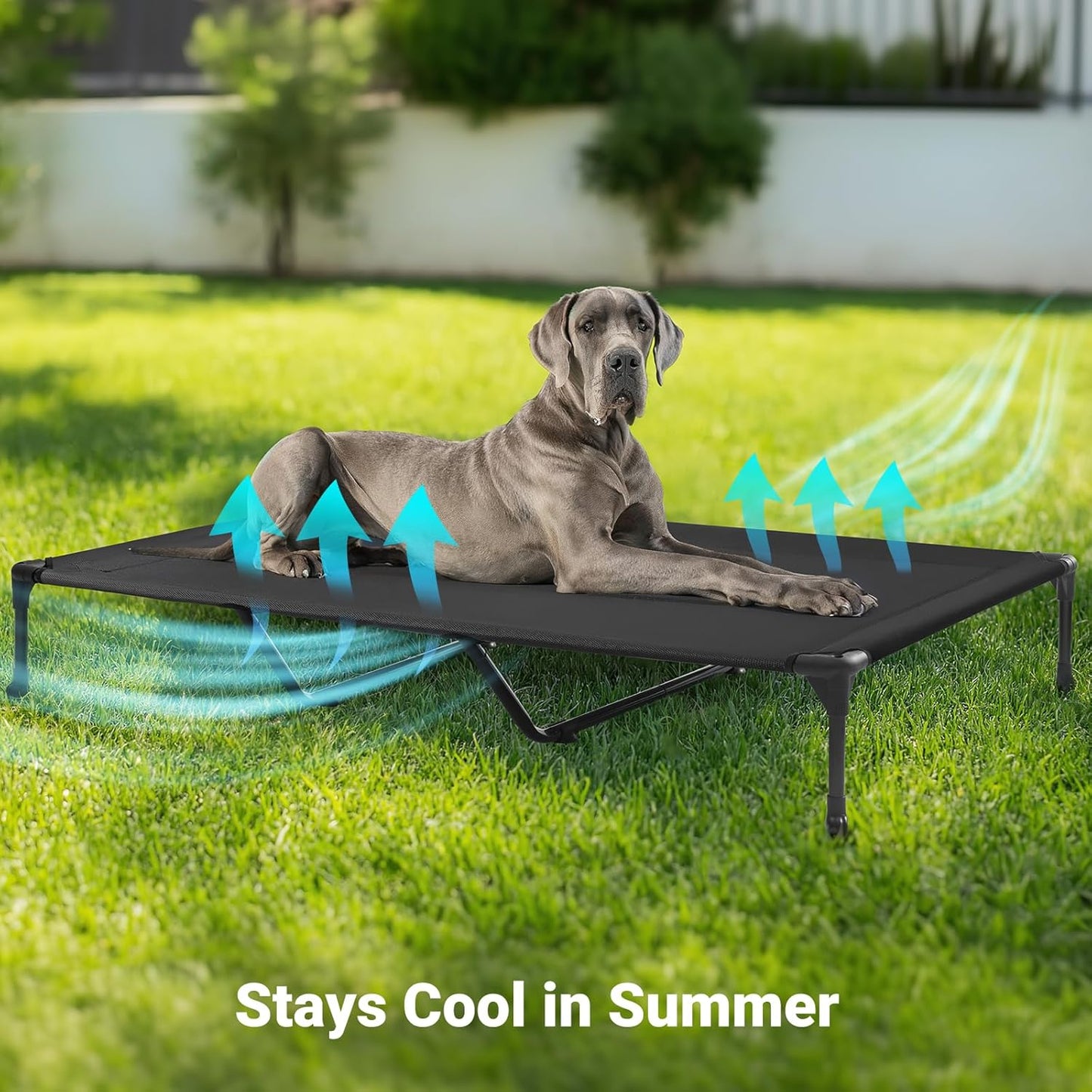 Veehoo Outdoor Elevated Dog Cot Bed, Cooling Raised Pet Bed for XX-Large Dog, Washable Breathable Mesh Hammock Bed with No-Slip Feet, Indestructible Ground Off Training Platform Cot-59"x37.5" Brown