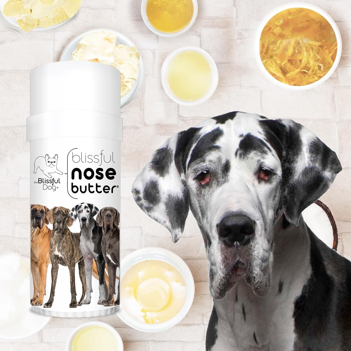 The Blissful Dog Great Dane Unscented Nose Butter - Dog Nose Butter, 2 Ounce