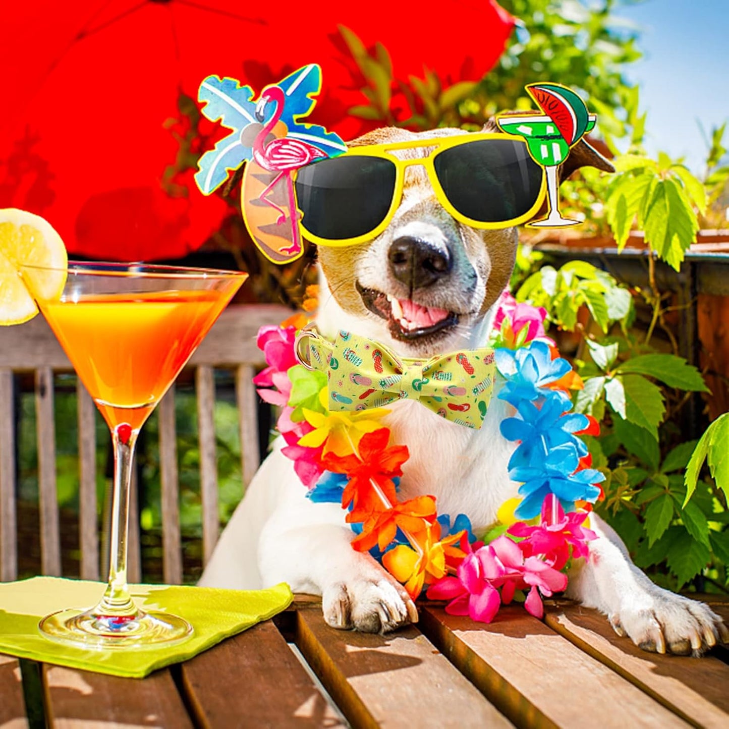 Elegant Little Tail's Cute Bowtie Dog Collar with Bow for X-Small Puppy and Cat