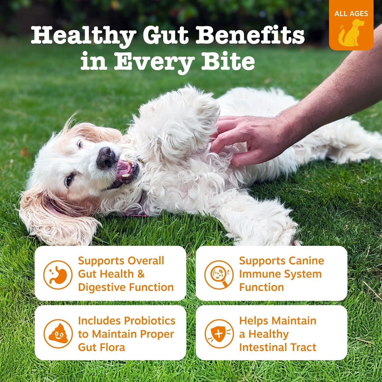Zesty Paws Probiotics for Dogs, Digestive Enzymes Gut Flora, Digestive Health, Diarrhea & Bowel Support, DE111, Dog Probiotic Soft Chew for Pet Immune System, Pumpkin, 250 Ct