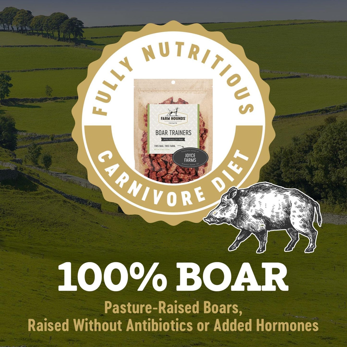 Farm Hounds - Boar Trainers - Premium Natural Jerky for Dogs - from 100% Humanely Raised Boar - Easy-Break - Great for Training & Treats - No Added Fillers - Made in USA - 4.5 oz - 2 Pack