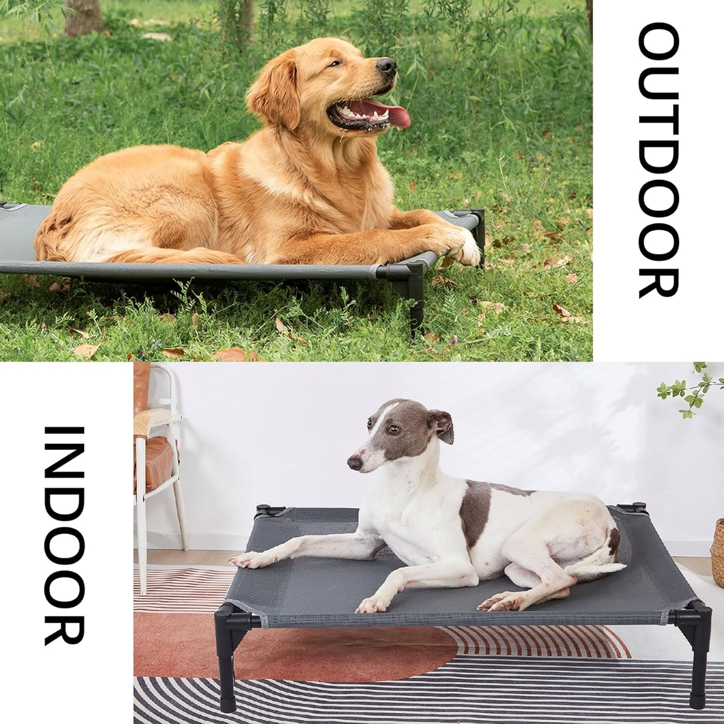 pettycare Elevated Outdoor Dog Bed - Dog Cots for Large Dogs XL, Heavy Duty Raised Cot Waterproof, Cooling Pets Bed with Washable Durable Teslin Mesh and Non Slip Feet, 49 Inches, Grey