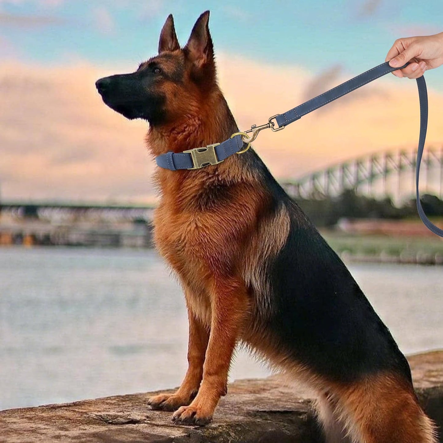 Didog Soft PU Leather Dog Collar, Stylish Quick Released Dog Collar for Large Dogs, Easy Clean Adjustable Pet Collar for Daily Walking, Blue, L Fit 15-23" Neck