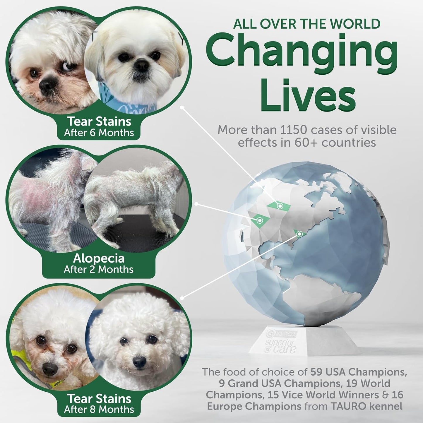 Nature's Protection Superior Care White Dogs Grain-Free Dry Dog Food - High Protein, Tear Stain Remover Dog Food for Small & Mini Breeds Light Coated Adult Dogs, Fresh Pet Meal, Insects, 3.3 lb