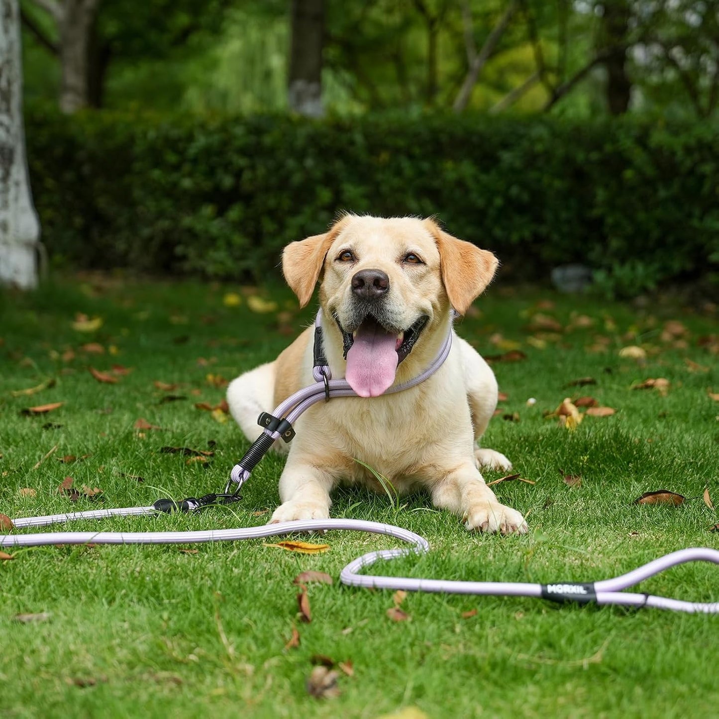 Rope Dog Leash, 6 Foot Heavy Duty Dog Leash with Aviation Aluminum Auto Locking Carabiner, Strong Nylon Pet Lead for Small, Medium, Large Dogs (Brown, 6FT)