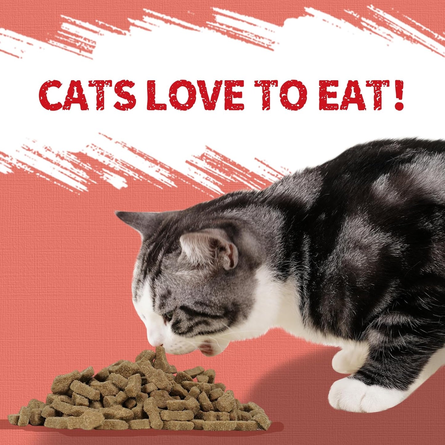 Just Try 16 OZ Salmon Cat Treats for Indoor Cats, Crunchy Training Treats Dental Care Omega 3 for Cats Joint Support & Skin Coat Health