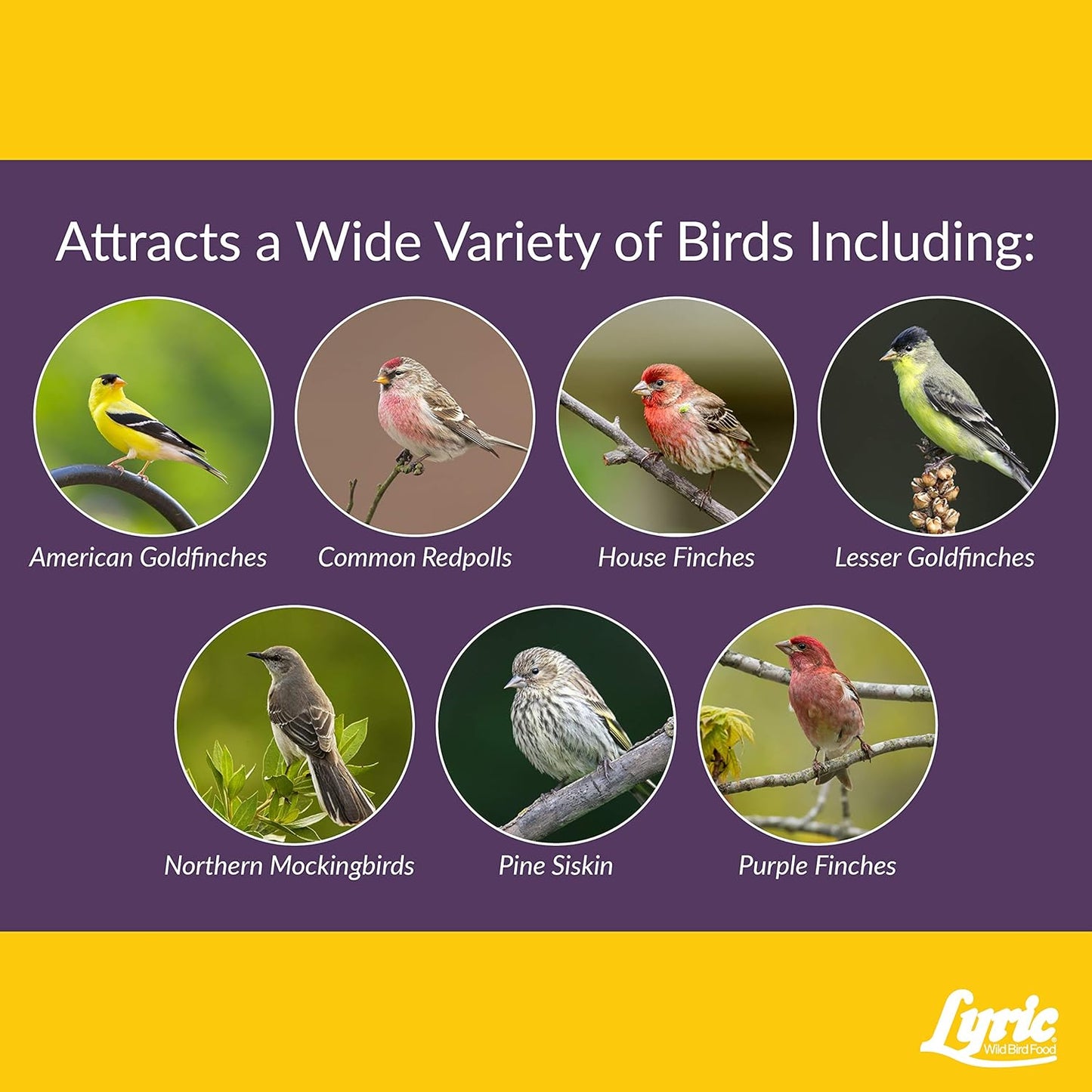 Lyric Finch - Small Songbird Wild Bird Seed - Attracts Goldfinches, House Finches, Purple Finches & More - 20 lb. bag