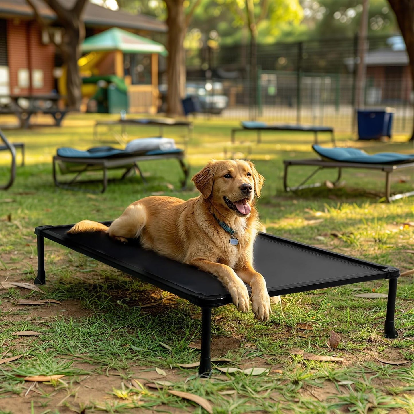 Veehoo Chew Proof Elevated Dog Bed, Durable Raised Training Platform for Large Dogs, Indoor or Outdoor Pet Cot System for Place, Agility, CWC2420CP