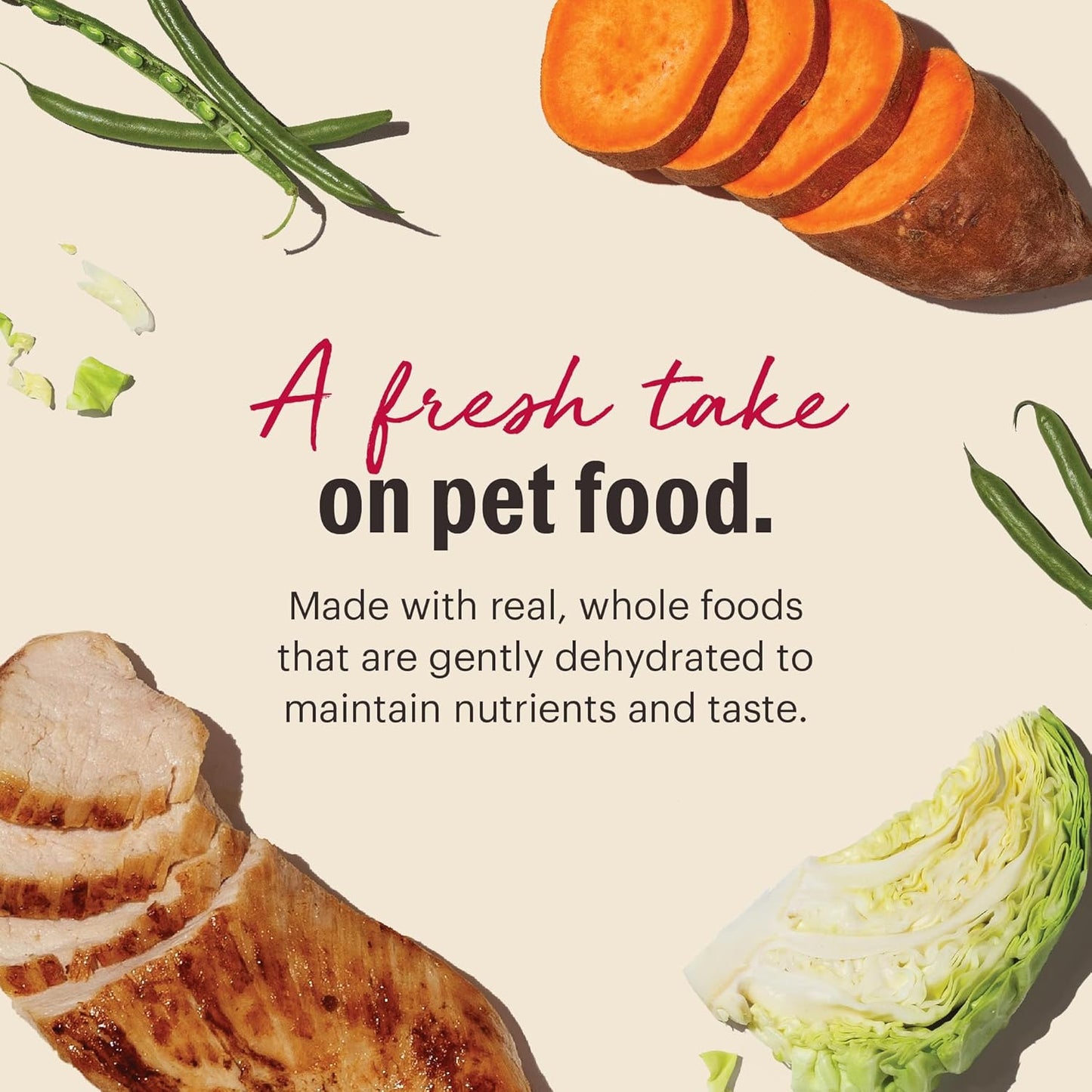 The Honest Kitchen Wholemade™ Grain Free Chicken Dog Food, 4 lb Box