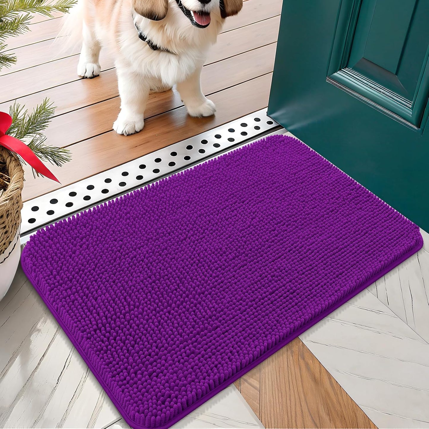 OLANLY Dog Door Mat for Muddy Paws 24x16, Absorbs Moisture and Dirt, Absorbent Non-Slip Washable Doormat, Quick Dry Chenille Mud Mat for Dogs, Entry Indoor Entryway Carpet for Inside Floor, Purple