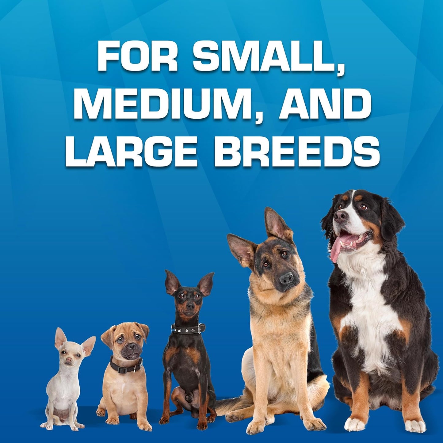 Nerf Dog Toy Gift Set, 3-Piece Set of Outdoor Dog Toys for Fetch, Includes Checker Crunch Ball, Spike LED Squeak Ball and Tire Squeak Football