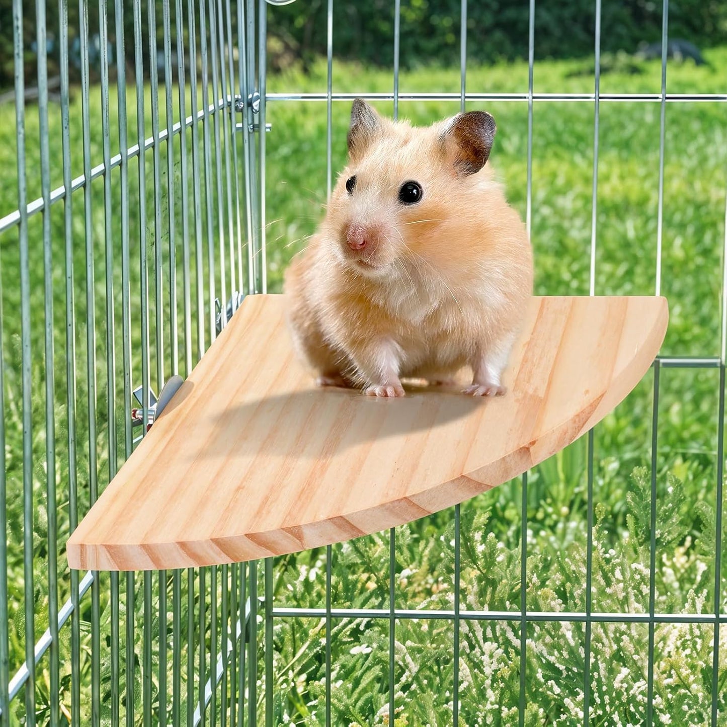 Bird Perch Platform Stand Wooden Parrot Perch Corner 6.7 Inches Fan Shape Playground Cage Accessories Parrot Stand Flat Perches for Bird Cages Corner Shelf for Birds Parrots Hamster Gerbil