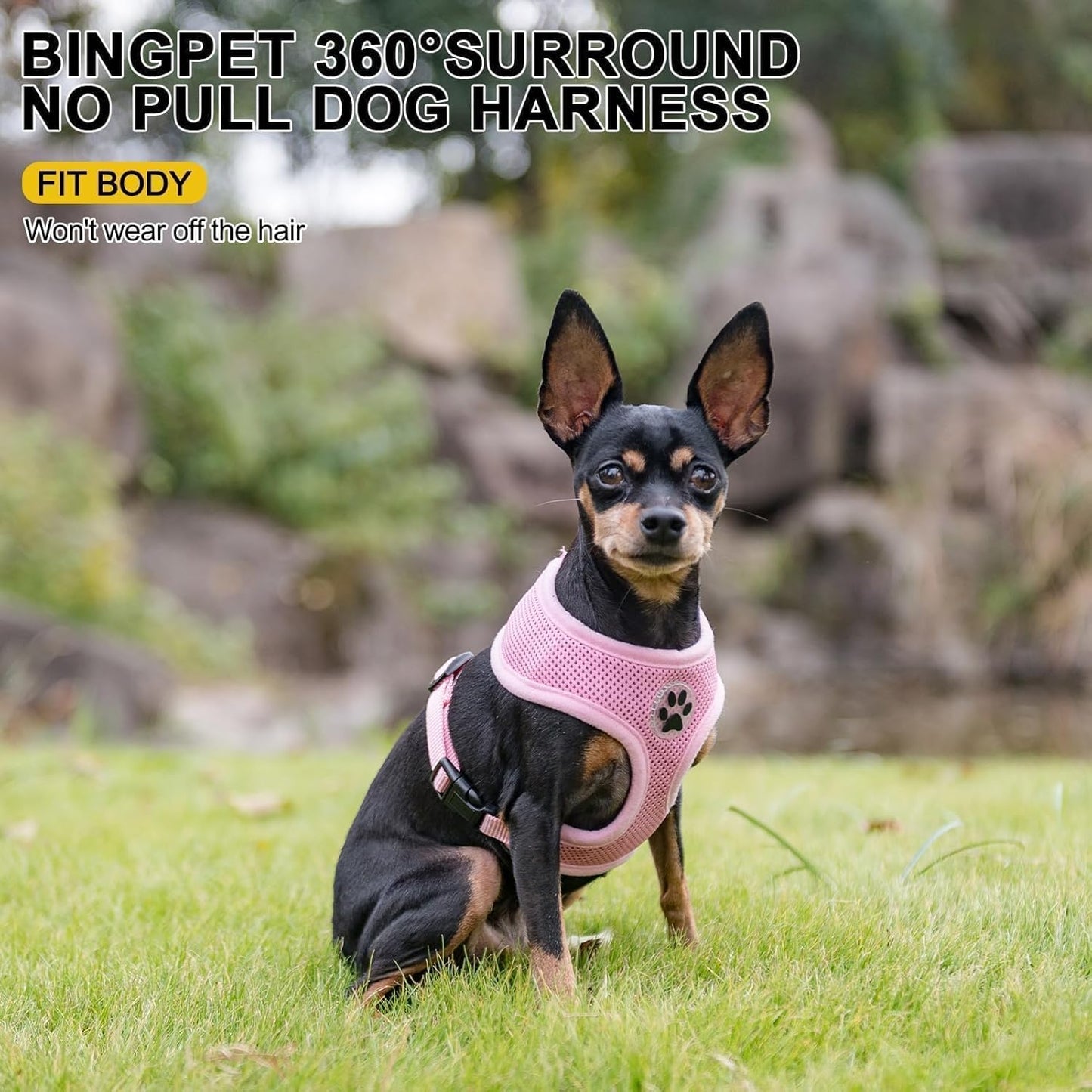 BINGPET Small Dog Harness - Breathable Mesh Puppy Cat Harnesses - No Pull Adjustable Dog Harness Dog Vest Harness for Small and Medium Dogs