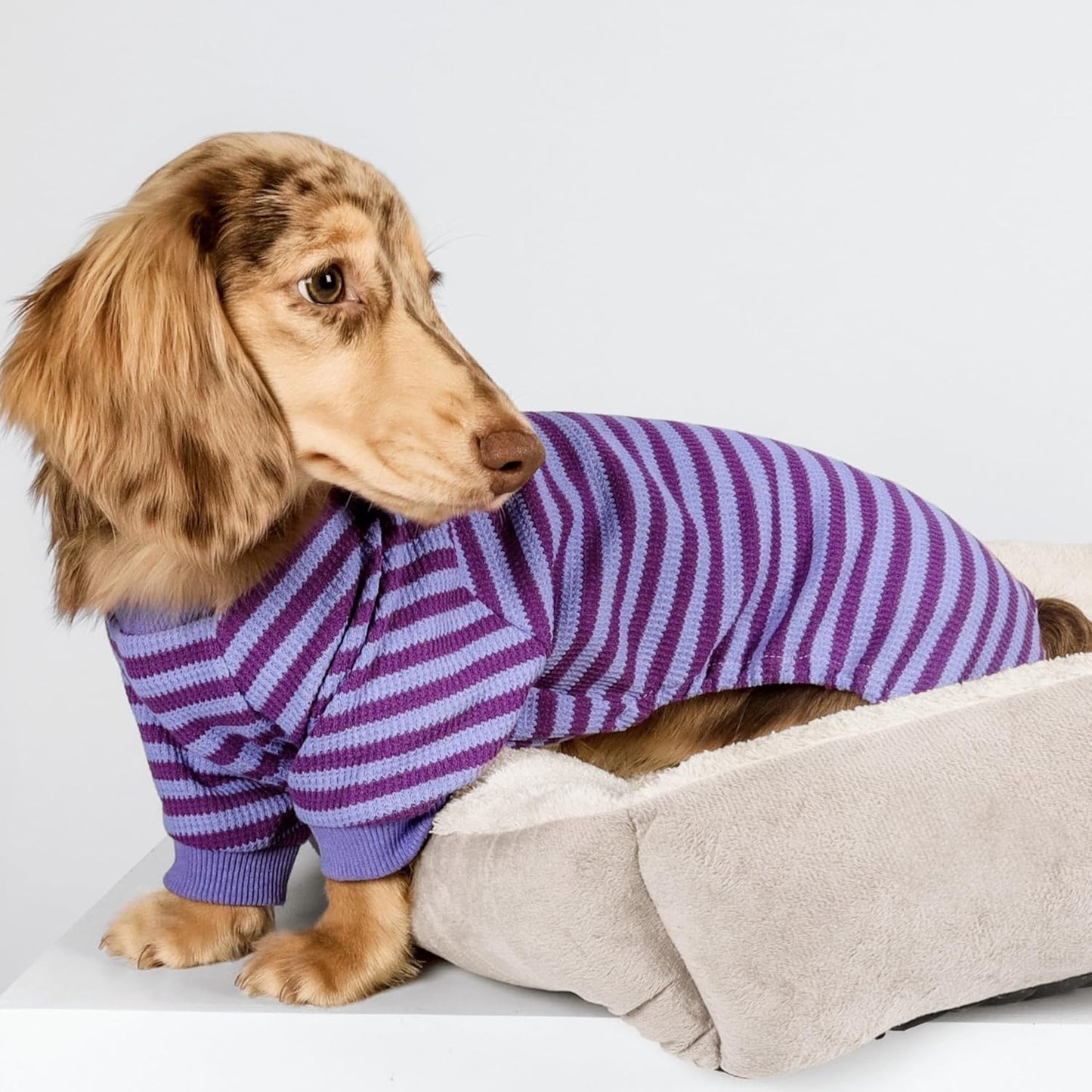 Fitwarm Purple and Violet Striped Dog Pajamas, Waffle Dog Clothes for Small Dogs Girl Boy, Puppy Onesie with Feet, Pet Cat Outfit, Medium