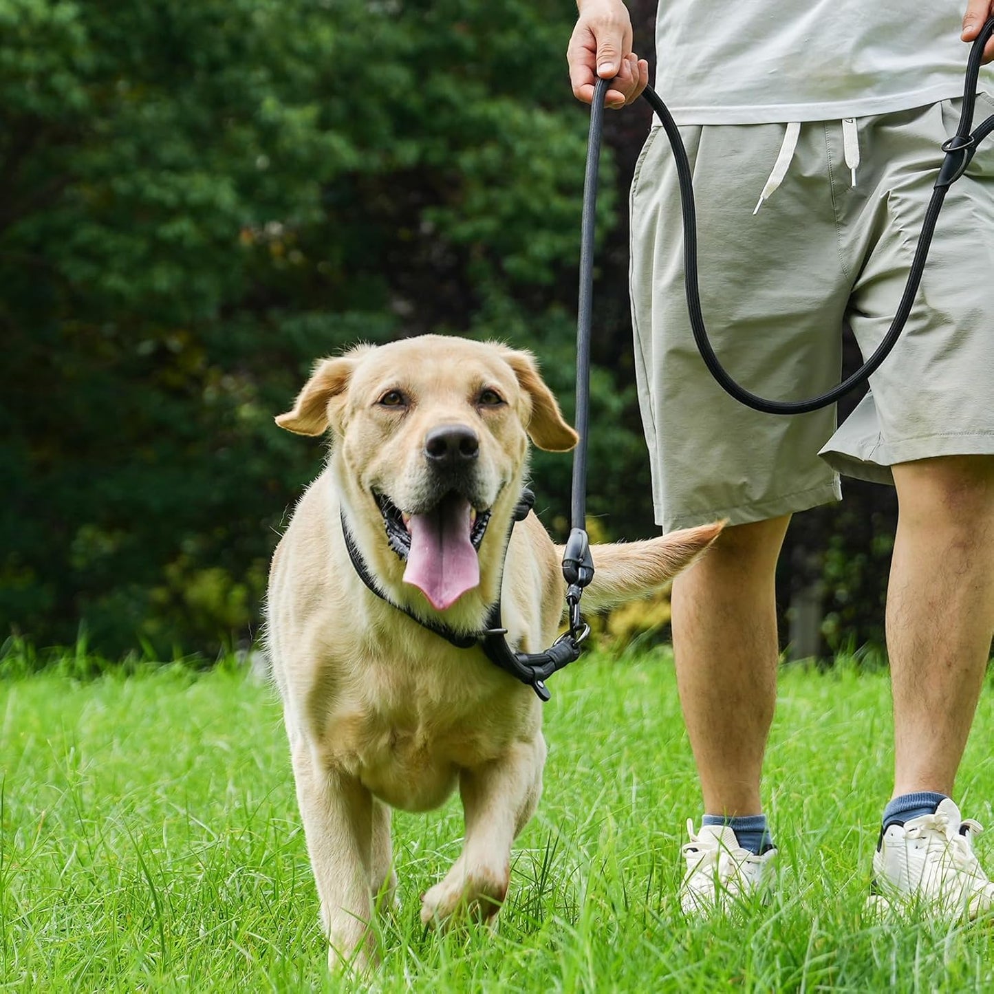 Rope Dog Leash, 6 Foot Heavy Duty Dog Leash with Aviation Aluminum Auto Locking Carabiner, Strong Nylon Pet Lead for Small, Medium, Large Dogs (Navy Blue, 6FT)