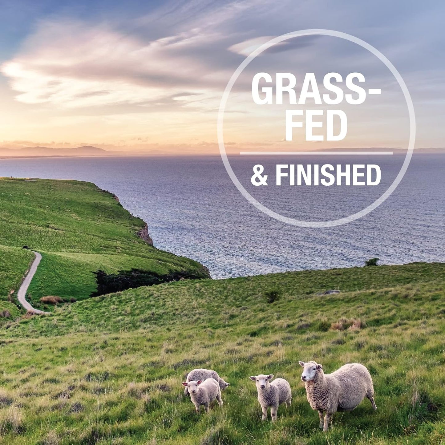 K9 Natural - Grain Free Freeze Dried Dog Food - Hoki & Beef, 4lb