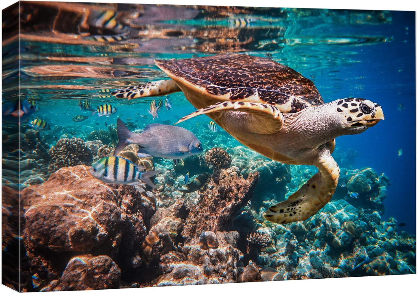 wall26 Canvas Print Wall Art Tropical Turtle Coral Reef Deep Sea Dive Nature Animals Photography Realism Rustic Scenic Landscape Wilderness Earth Colorful for Living Room, Bedroom, Office - 32"x48"