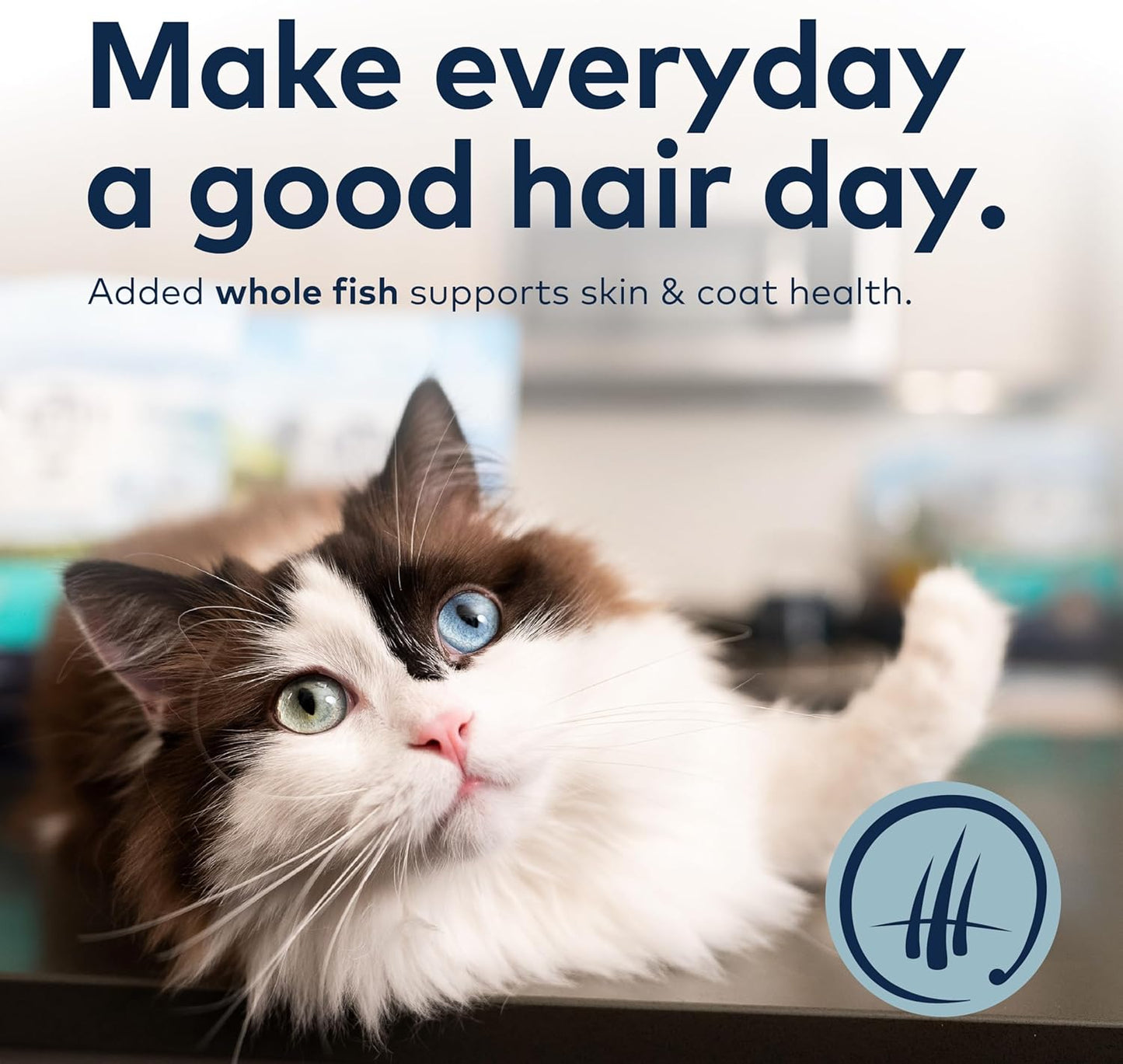 ZIWI Peak Steam & Dried Cat Food – Wild South Pacific Fish - High Protein, Skin & Coat Health, Low Carb, for All Life Stages (28.8oz)