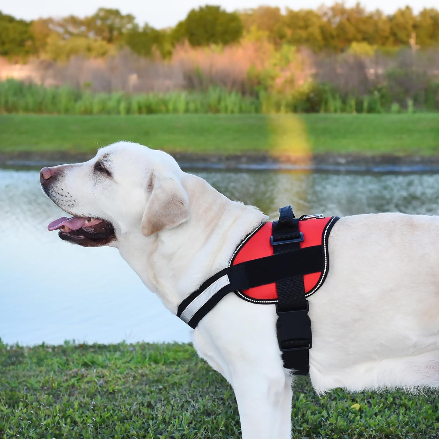 Dogline Dog Harness, Reflective No-Pull Adjustable Vest with Handle, Breathable No-Choke Harness for Small, Medium or Large Dogs Room for Patches Girth 22"-28" in Red