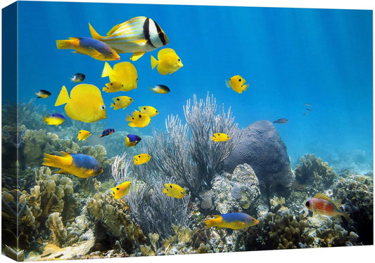 wall26 Canvas Print Wall Art Yellow School of Fish with Blue Coral Reef Nature Ocean Photography Realism Nautical Scenic Relax/Calm Multicolor Ultra for Living Room, Bedroom, Office - 16"x24"