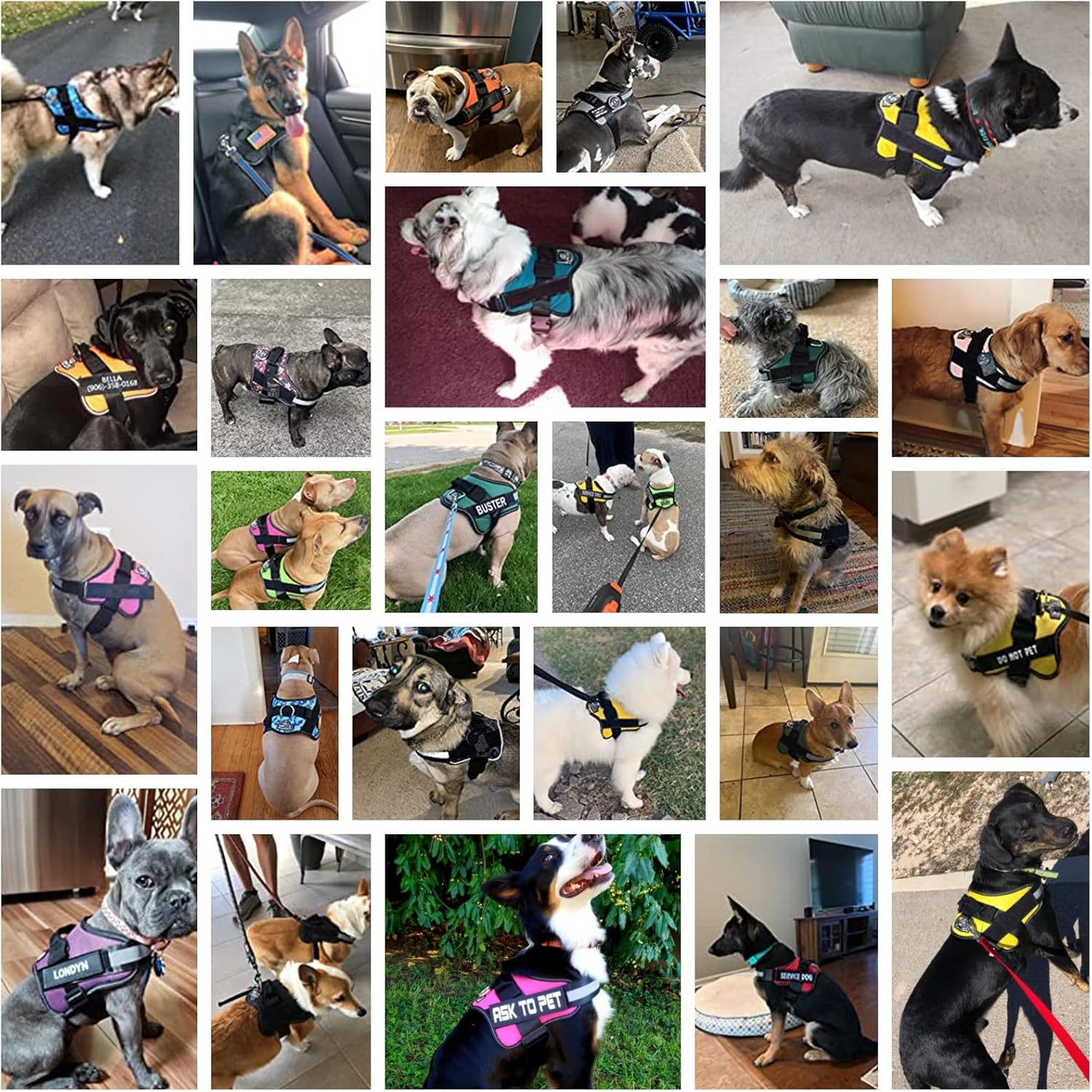 Bolux Dog Harness, No-Pull Reflective Dog Vest, Breathable Adjustable Pet Harness with Handle for Outdoor Walking - No More Pulling, Tugging or Choking (Purple, S)