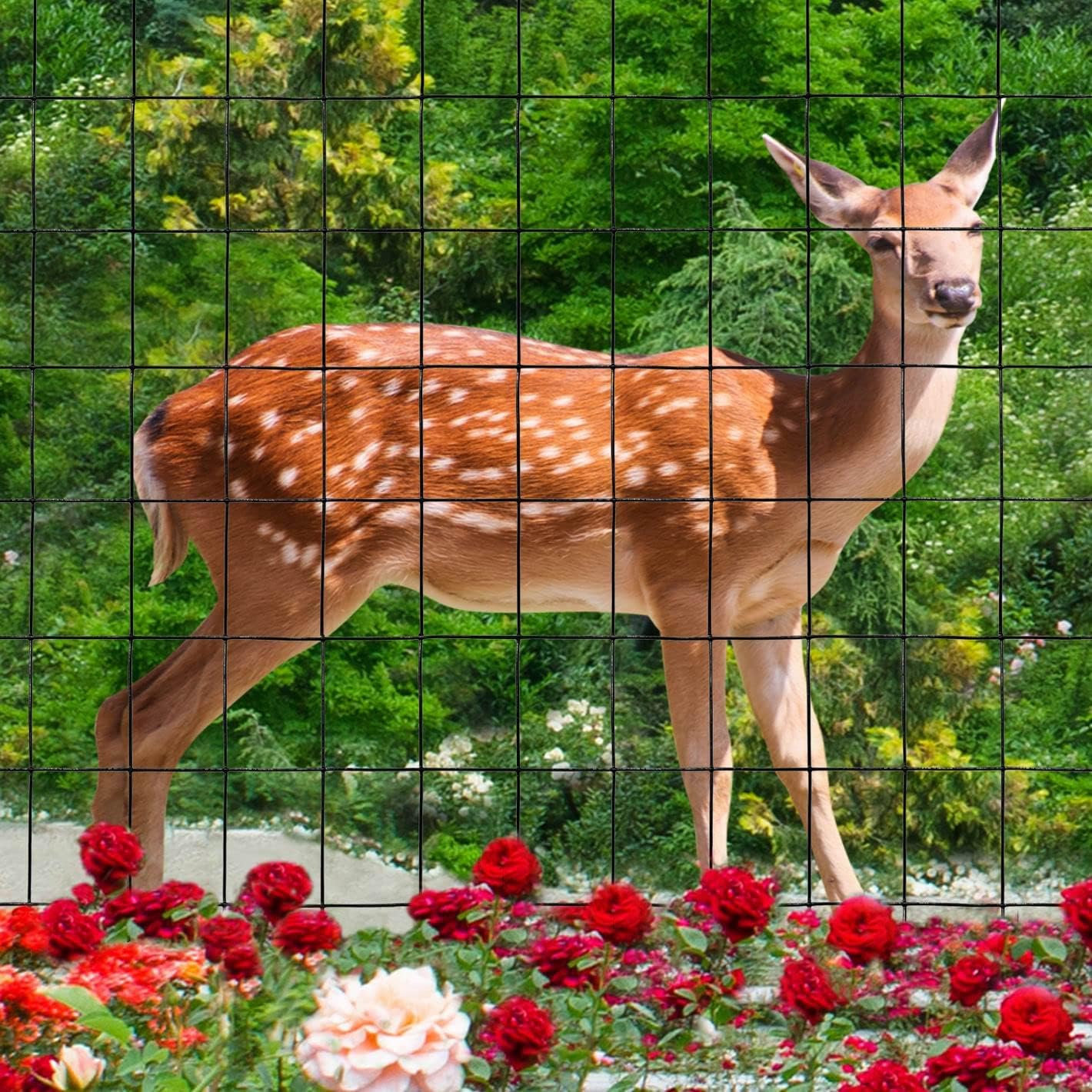 Black PVC Coated Welded Wire Fence 24 Inch x 50 Foot, 2 Inch x 3 Inch 16GA, Garden Border Fencing Roll Vinyl Coating Metal Wire Mesh for Yard Vegetable Plant Protection Poultry Netting