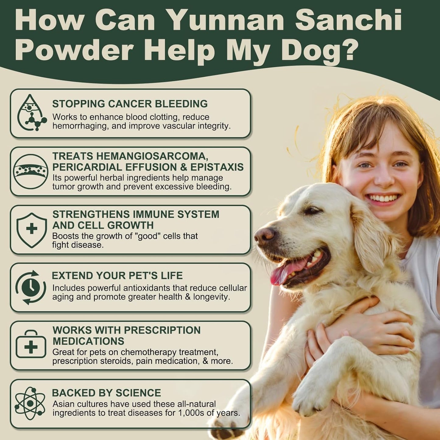 Quick Stop Bleeding for Dogs, Yunnan Sanqi Powder for Hemangiosarcoma, Hemoabdomen, Pericardial Effusion, Cancer Bleeding, Severe Bruising, Blood Support for Dogs, 100g