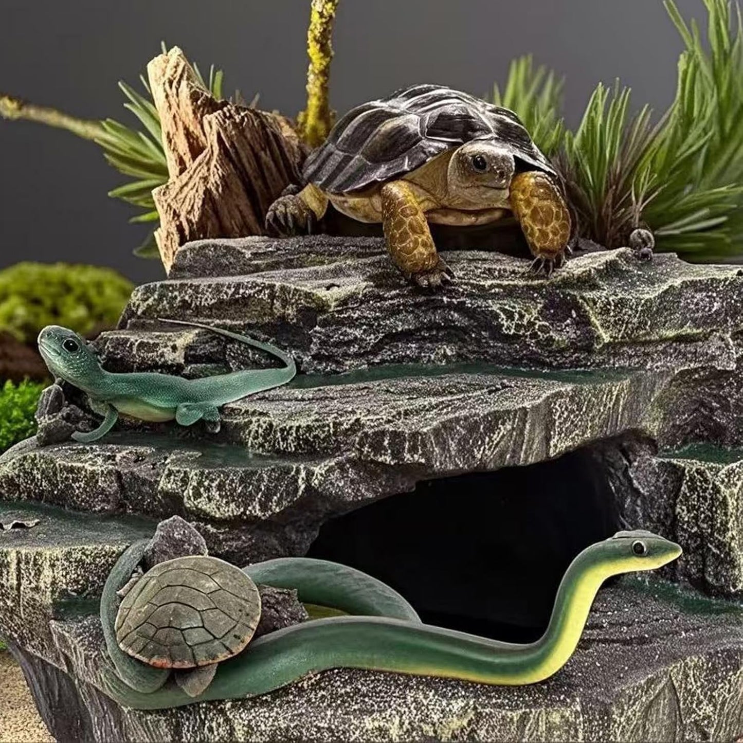 Beared Dragon Tank Accessories for Adults, Snake Hide, Reptile Tank Accessories, Perfect Natural Large Reptile Hide, Professional Turtle Basking Platform (E-Large)