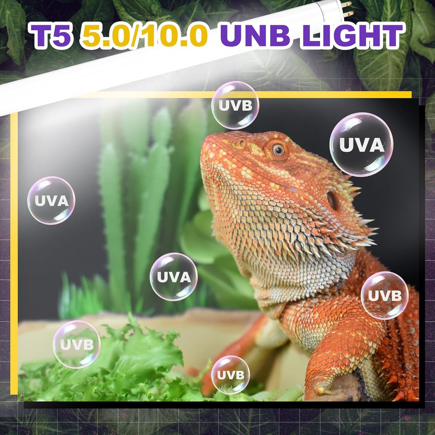 10.0 UVB Light for Reptiles, T5 HO 24 Watt Reptile Lamp Tube, Pack of 2 Fluorescent UVB Bulb, Basking Light for Bearded Dragon, Simulate Natural Sunlight for Reptiles and Amphibians
