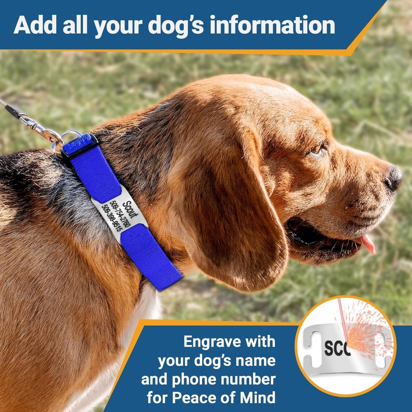 GoTags Personalized Dog Collar with Nameplate, Adjustable Dog Collar with Custom Engraved Slide On Pet ID Tag in Stainless Steel, Silent, No Noise Dog Tag (Beige, Medium)