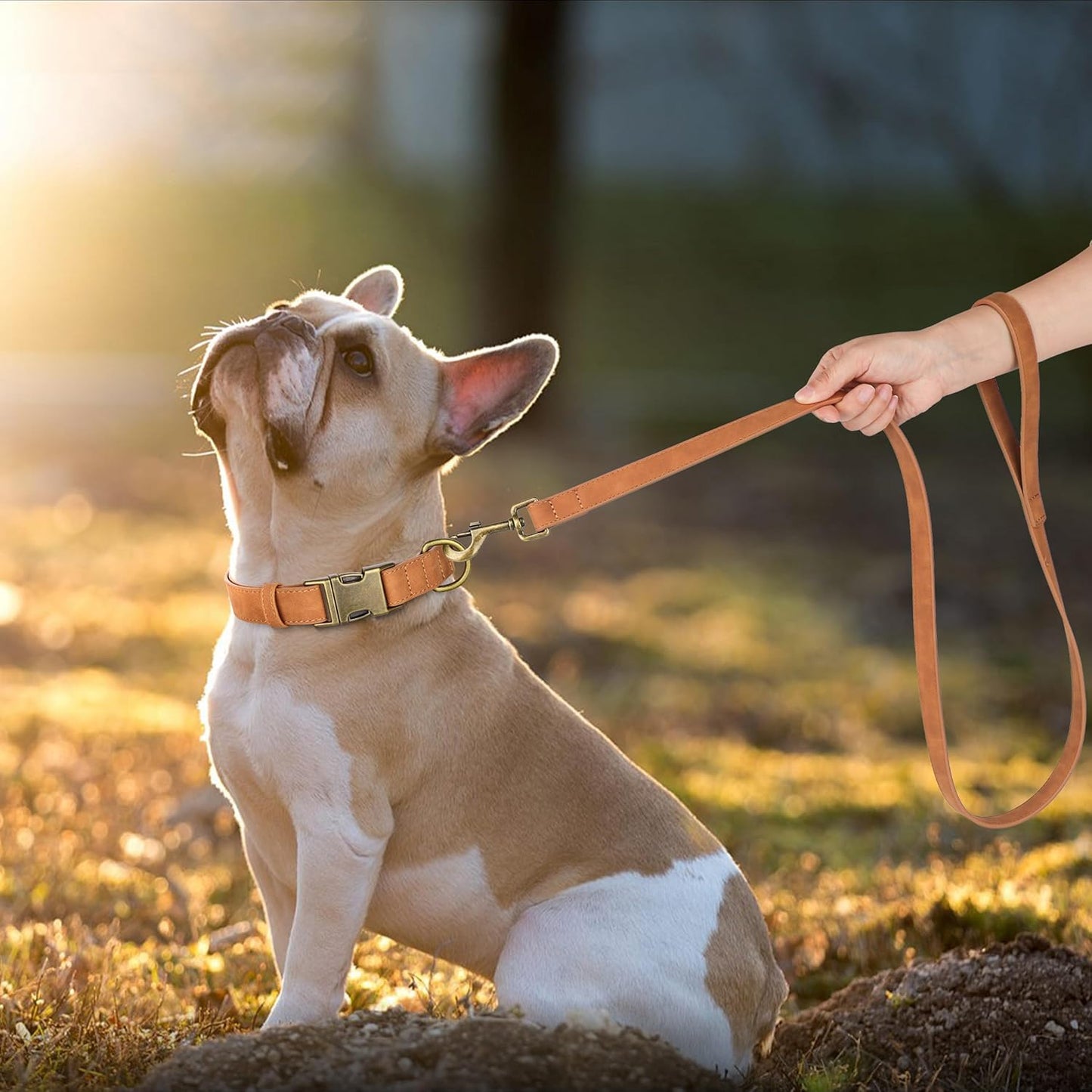 Didog Soft PU Leather Dog Collar, Stylish Quick Released Dog Collars for Medium Dogs, Easy Clean Adjustable Pet Collar for Daily Walking, Light Brown, M Fit 13-21" Neck