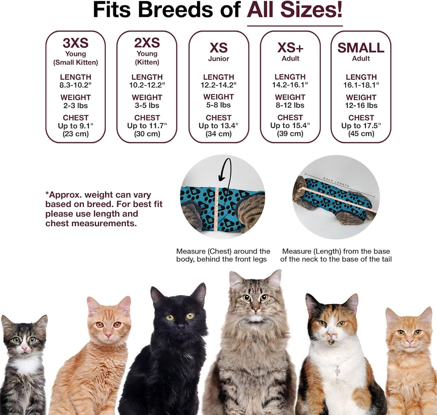 Bellyguard Cat Recovery Suit Female and Male, Comfy Onesie After Surgery, Kitten Clothes for Post-Op Care, Neuter and Spay Healing Outfits for Cats Only – Comfortable Kitten and Adult Cone Alternative