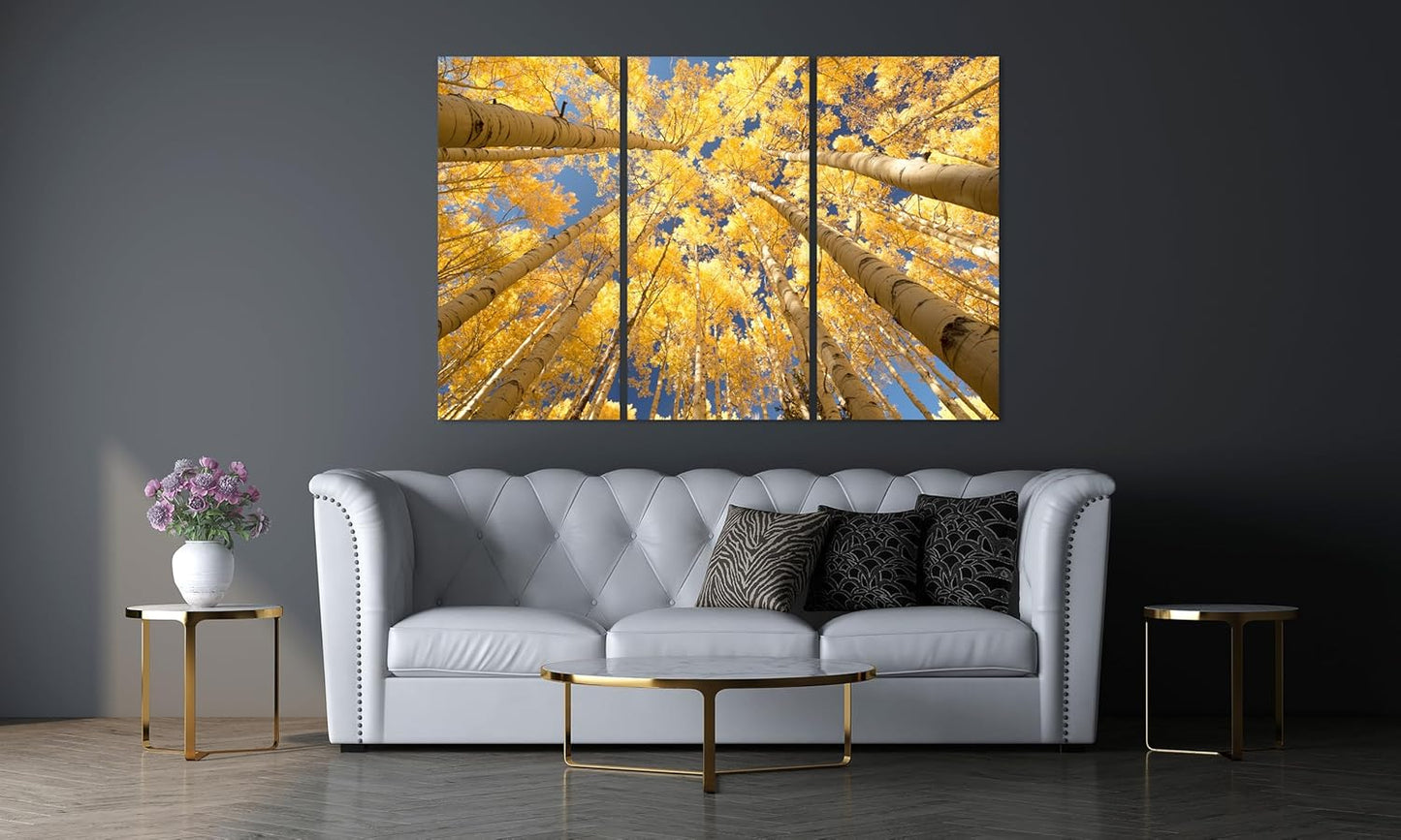 Nature Wall Art Prints - Ocean Forest Mountain Lake Canvas Landscapes - Small to Extra Large Living Room Bedroom Kitchen Bathroom Décor (Reaching for the Sky, 39L" x 59W" - 3 Panels)