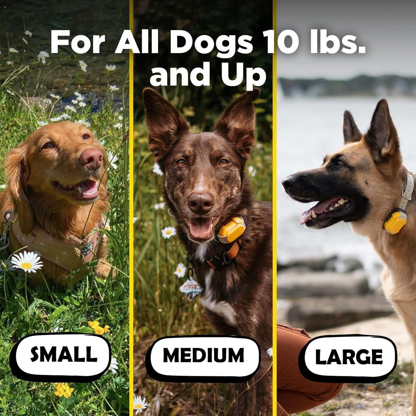 Dogtra CUE Yellow – E-Collar for Dogs Training Collar with Remote – Training Made Easy for Everyday Dog Owners – Gentle Vibration, Custom Boost, Waterproof, Rechargeable, 400-Yard Range System