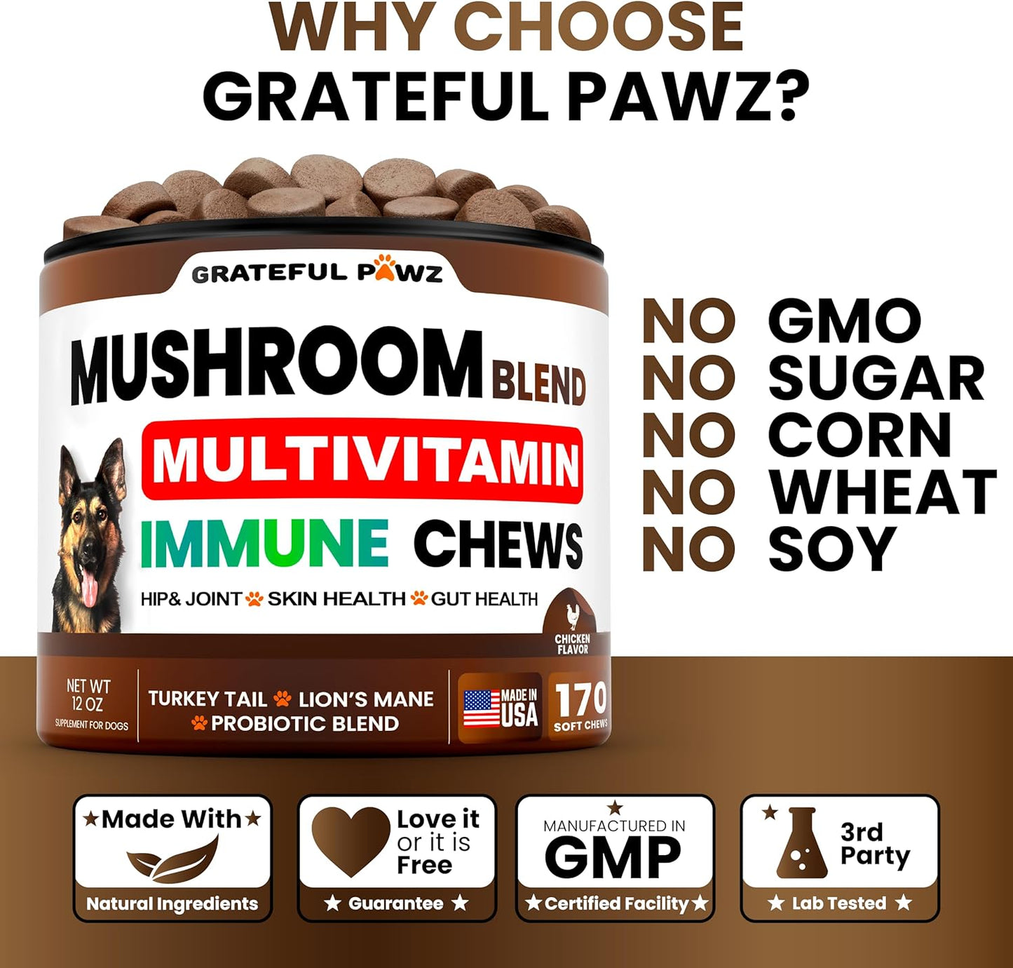 Mushroom Supplement for Dogs - 170 Chews - Mushrooms for Dogs - Turkey Tail, Reishi, Lion’s Mane, Glucosamine Multivitamin - Immune Booster, Gut, Hip & Joint Health Support Vitamins, Energy & Skin