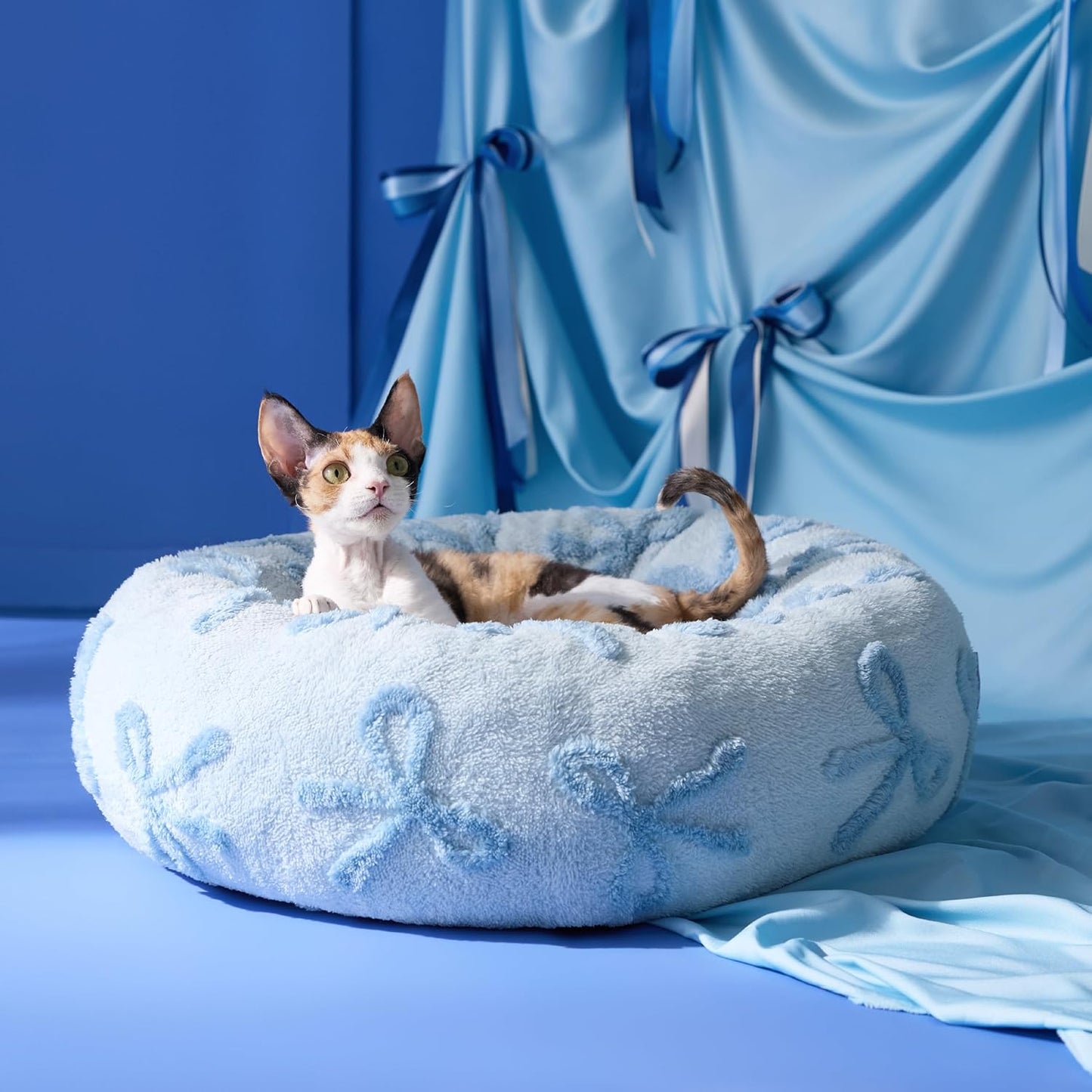 LE SURE Donut Cat Beds for Indoor Cats - Round Small Dog Bed Calming Pet Beds, Cute Modern Beds with Jacquard Shaggy Plush & Anti Slip Bottom, 20 Inch, Ice Melt
