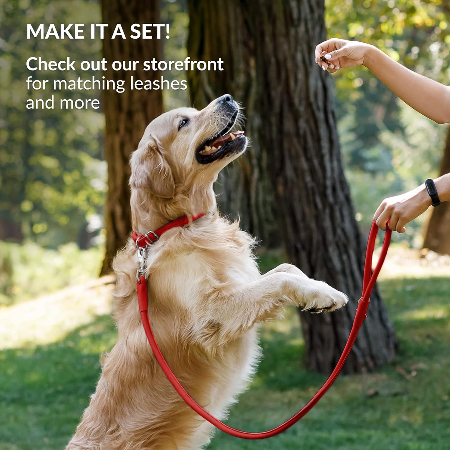 CollarDirect Rolled Leather Dog Collar, Soft Padded Round Puppy Collar, Handmade Genuine Leather Collar Dog Small Large Cat Collars 13 Colors (11-14 Inch, Red Smooth)