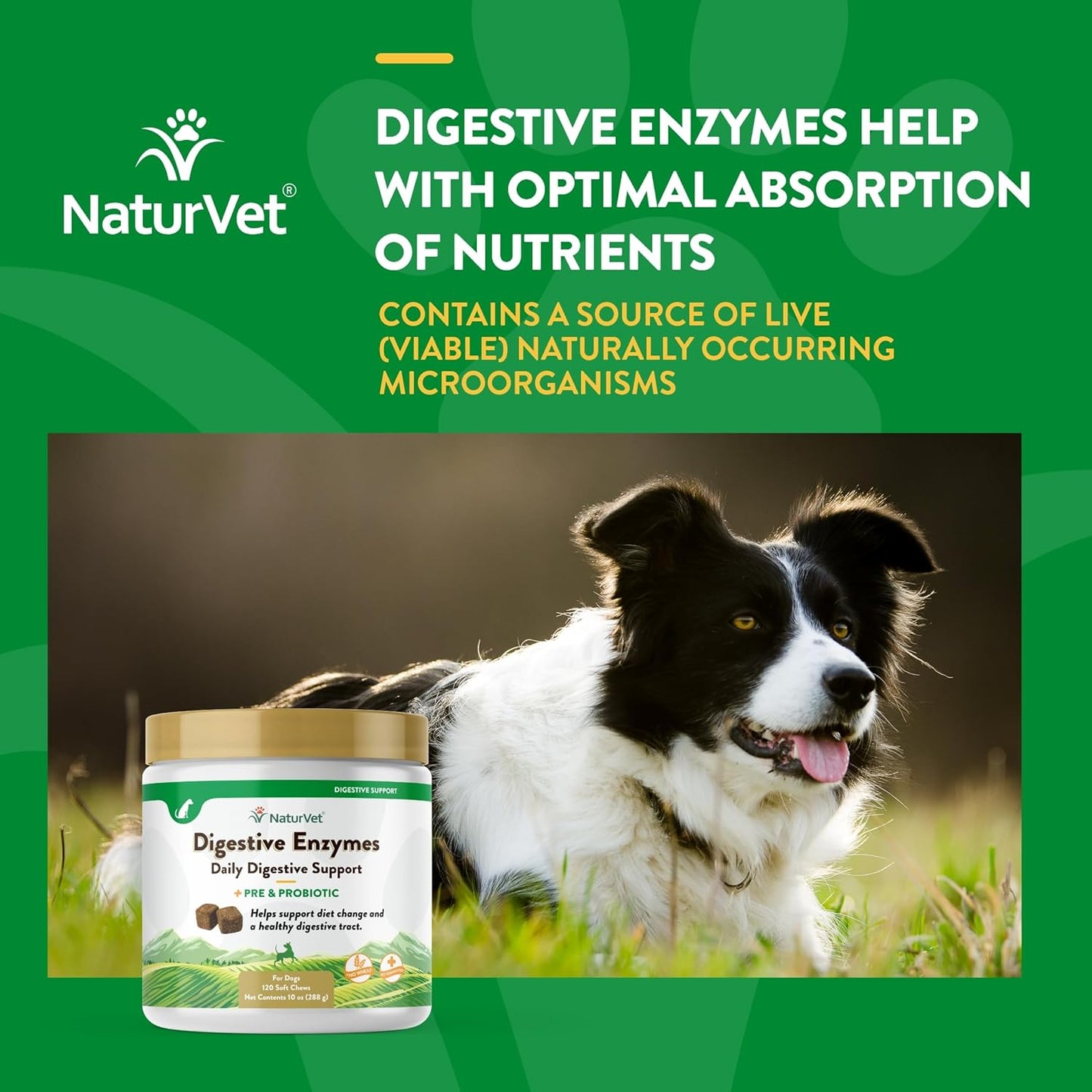 NaturVet – Digestive Enzymes - Plus Probiotics & Prebiotics – Helps Support Diet Change & A Healthy Digestive Tract – for Dogs & Cats (Soft Chews, 120 Count)