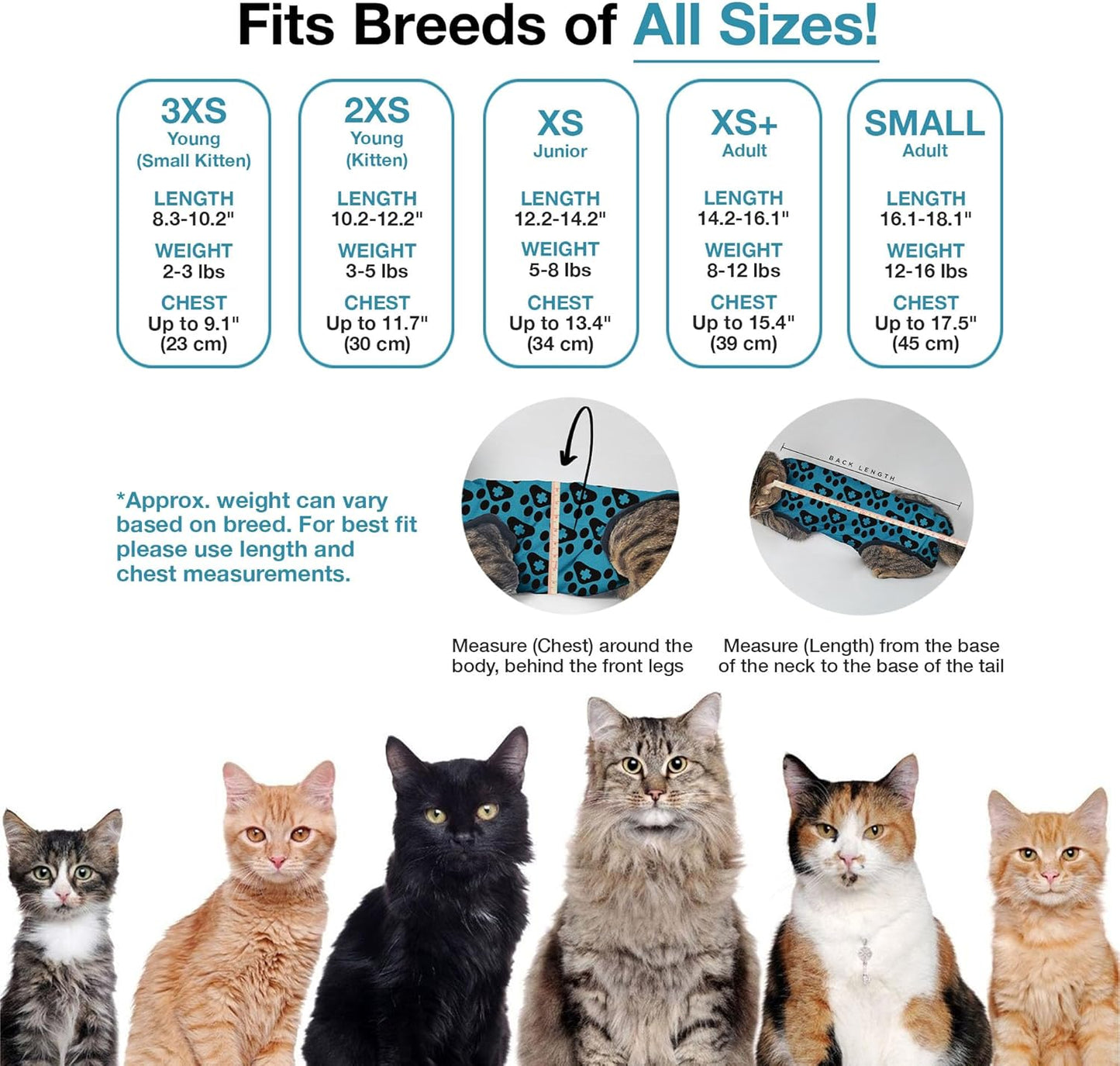 Bellyguard Cat Recovery Suit Female and Male, Comfy Onesie After Surgery, Kitten Clothes for Post-Op Care, Neuter and Spay Healing Outfits for Cats Only – Comfortable Kitten and Adult Cone Alternative