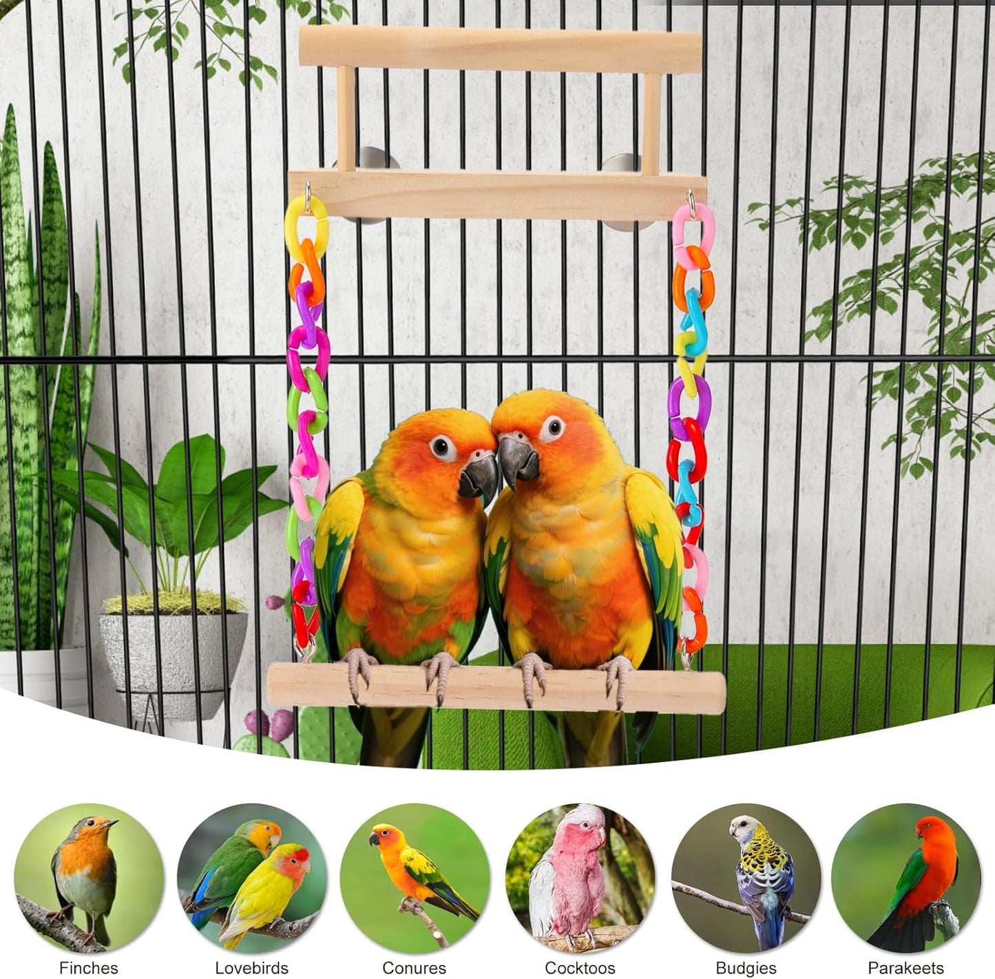 Kyouki Bird Perch Bird Cage Accessories Platform Swing - for Parrot,Parakeet,Budgies, Cockatiels, Lovebirds, Pacific Parrotlets,Chinchilla, Hamster - Sturdy Play Gym Exercise Stand